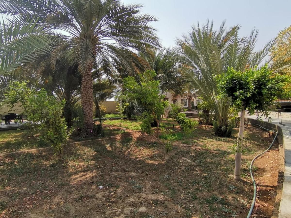 The * Nizwa