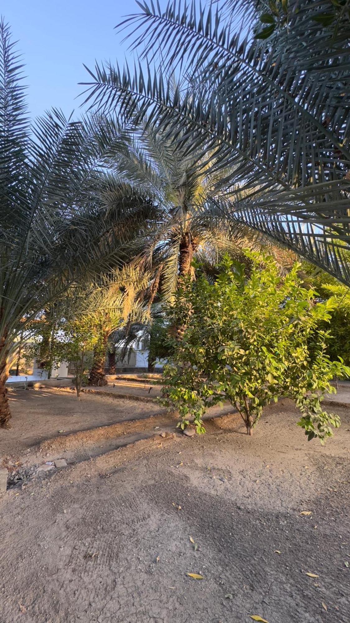 The Nizwa