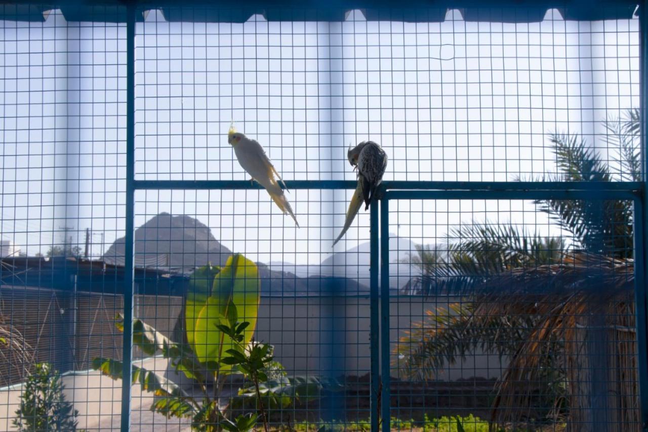 The * Nizwa